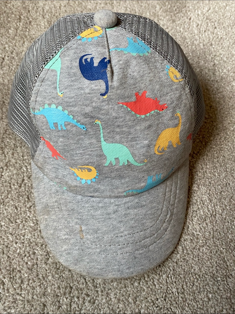 Gray Kids Dinosaur Print Mesh Cap